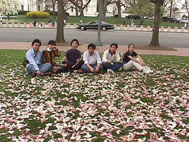 Boys And Girls 1